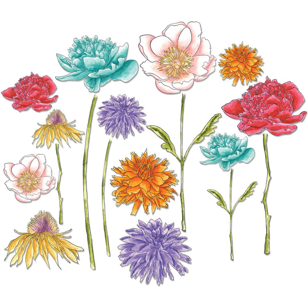 Framelits Dies by Tim Holtz-Flower Garden & Mini Bouquet